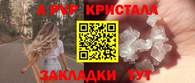 шишки Изобильный