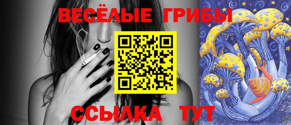 Галлюциногенные грибы ЛСД  Галлюциногенные грибы прущие грибы  Элиста  Вход с VPN 