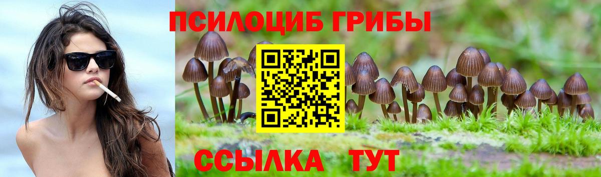 Псилоцибиновые грибы Magic Shrooms Элиста